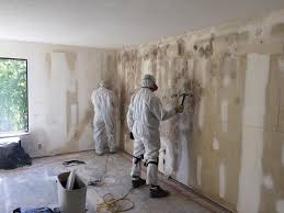 Livingston, CA Mold Removal Company